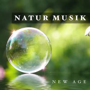 Natur Musik - Yin And Yang
