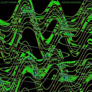 Sixteen Seconds - Elliott Sharp