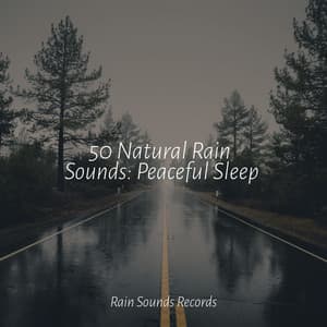 50 Natural Rain Sounds: Peaceful Sleep - Sleepy Night Music