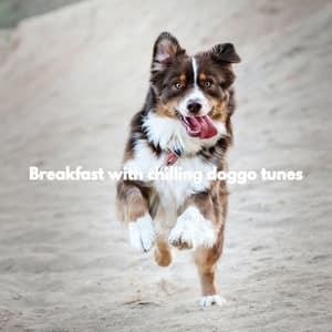 Breakfast with chilling doggo tunes - Separation Anxiety Dog Music
