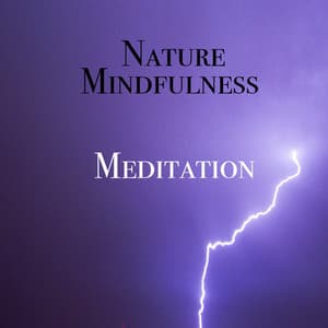 Nature Mindfulness Meditation - Meditación Musical