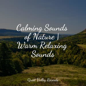Calming Sounds of Nature | Warm Relaxing Sounds - Deep Relaxation Meditation Academy