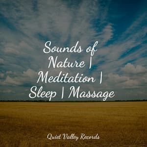 Sounds of Nature | Meditation | Sleep | Massage - Nature Sounds for Concentration