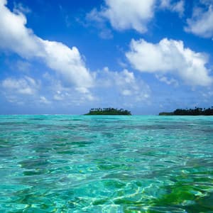 Serene Aquascape: Soothing Water Melodies - General Relativity