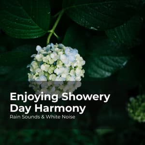Enjoying Showery Day Harmony - Rain Sounds & White Noise