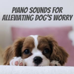 Piano Sounds for Alleviating Dog's Worry - Peaceful Piano Jazz