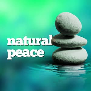 Natural Peace - Rest & Relax Nature Sounds Artists