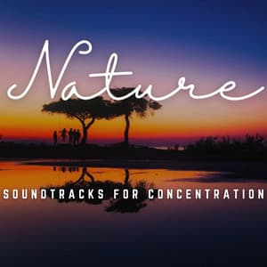 Mindful Study Sessions: Soundtracks for Concentration - Relaxing Study Music Orchestra