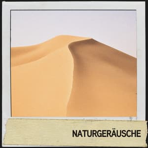 Naturgeräusche: Wüstenwind am Morgen - Ruido Blanco Hart