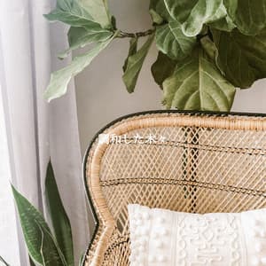 調和した木々 - Night Time Jazz Moods