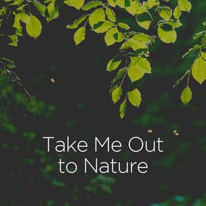 Take Me out to Nature - Forest Soundscapes