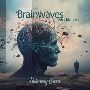 Brainwaves Meditation: Powerful Spiritual Frequency, Protection, Wealth, Miracles and Blessings - Harmony Green