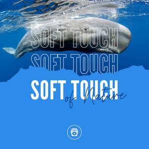 Soft Touch Of Nature - Ocean Sounds