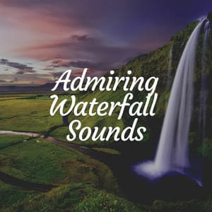 Admiring Waterfall Sounds - Outdoor Field Recorders