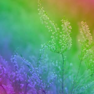 High-class Background for Best Fortunes - #Pianoclassico