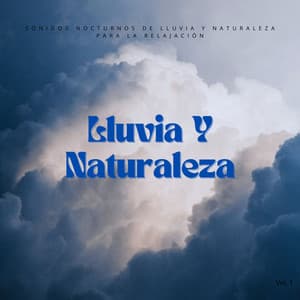 Sonidos Nocturnos De Lluvia Y Naturaleza Para La Relajación Vol. 1 - Lluvia Relajante para Dormir