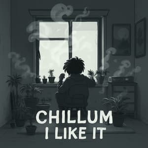 I like it - Chillum
