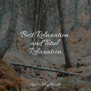 Best Relaxation and Total Relaxation - Weather Sounds