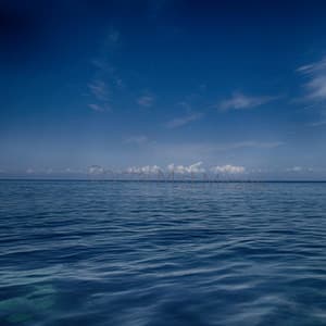 Crystal Mist Mirage - Oceara