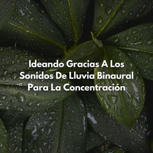 Ideando Gracias A Los Sonidos De Lluvia Binaural Para La Concentración - Ondas Alfa Colectivo