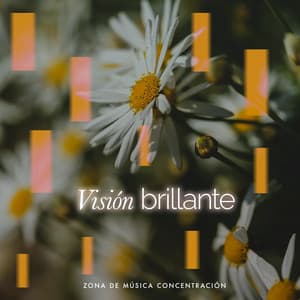 Visión brillante - Zona de música concentración