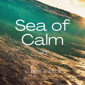 2022 Sea of Calm Vol. 1 - Sea of Calmness