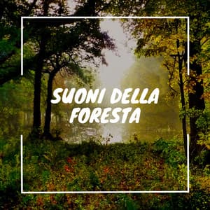 Suoni della foresta: Rilassante musica di kalimba per dormire - Musica Curativa Club