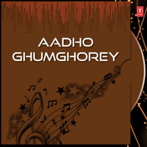 Aadho Ghumghorey - Indranil Sen