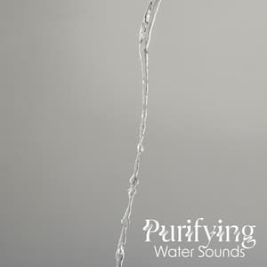 Purifying Water Sounds - Jardim Zen
