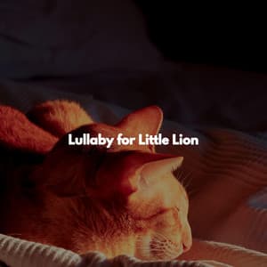 Lullaby for Little Lion - Jazz Instrumental Lisboa