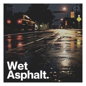 Wet Asphalt - Rainfall Place