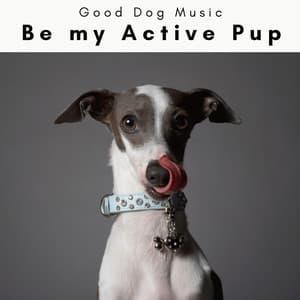 2 0 2 3 Be my Active Pup - Good Dog Music