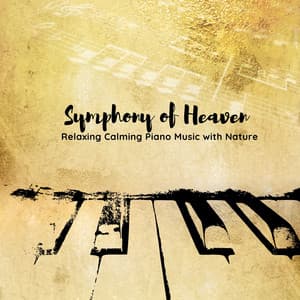 Symphony of Heaven: Relaxing Calming Piano Music with Nature - Healing Meditation Zone