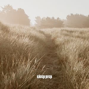 sleep prep - Study Music For Concentration