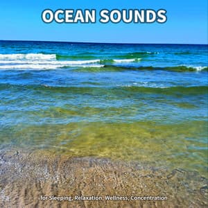 #1 Ocean Sounds for Sleeping, Relaxation, Wellness, Concentration - Beach Sounds