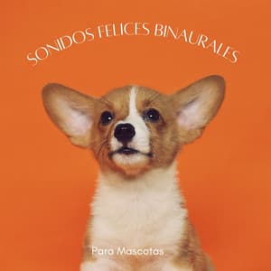 Sonidos Felices Binaurales Para Mascotas - Ritmos Binaurales MT