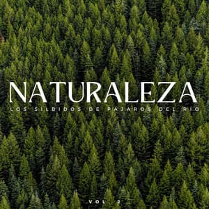 Naturaleza: Los Silbidos De Pájaros Del Río Vol. 2 - Sonidos De Aves