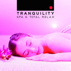 Tranquility Spa & Total Relax - Reiki Songs for Massage Therapy, Zen Music for Healing Through Sound and Touch - Abundant Nature Zen