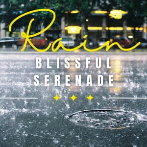 Rainfall Bliss: Serene Relaxation - Calm Rain Sounds