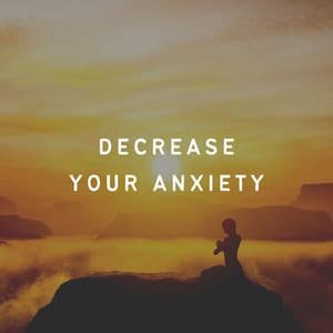 Decrease Your Anxiety - Binaural Beat Brainwave Subliminal Systems