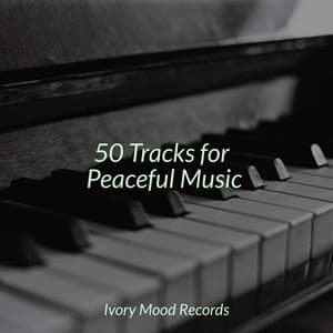 50 Tracks for Peaceful Music - Ivory Mood