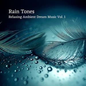 Rain Tones: Relaxing Ambient Dream Music Vol. 1 - Soft Music