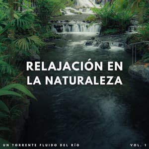 Relajación En La Naturaleza: Un Torrente Fluido Del Río Vol. 1 - Acústica de la Naturaleza