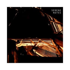 Serene Notes: Relaxing Piano Instrumentals - Piano Music Zone