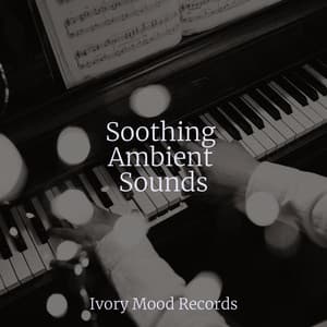 Soothing Ambient Sounds - Ivory Mood