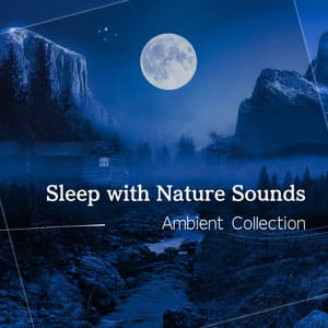 Sleep with Nature Sounds - Ambient Collection - RelaxHealingSound