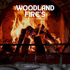 Woodland Fire's Gentle Crackles - Fireplace Studio