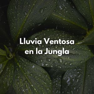 Lluvia Ventosa En La Jungla - Lluvia del Pacifico