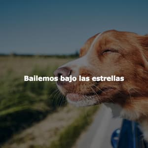 Bailemos bajo las estrellas - Música de la Mañana