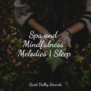 Spa and Mindfulness Melodies | Sleep - Soothing Music Academy
